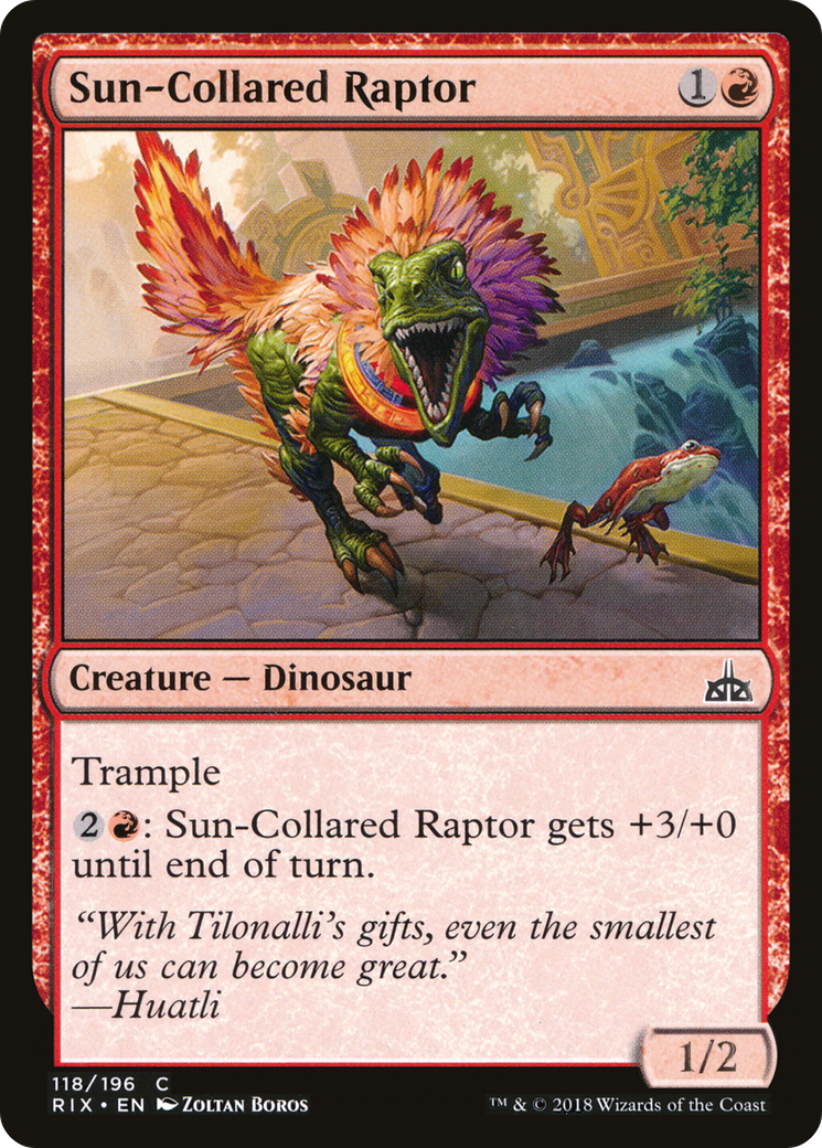 {C} Sun-Collared Raptor [Rivals of Ixalan][RIX 118]