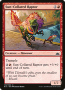 {C} Sun-Collared Raptor [Rivals of Ixalan][RIX 118]