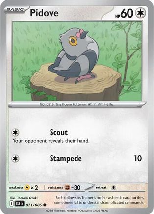 [PKM] Pidove (071/086) [Scarlet & Violet: Black Bolt]
