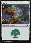 {B}[STX 375] Forest (375) [Strixhaven: School of Mages]