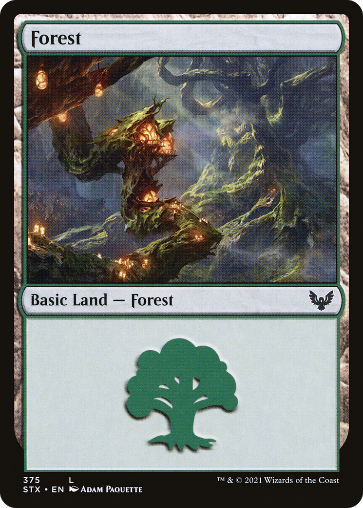 {B}[STX 375] Forest (375) [Strixhaven: School of Mages]