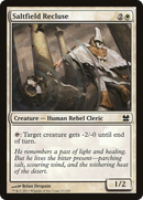 {C} Saltfield Recluse [Modern Masters][MMA 027]