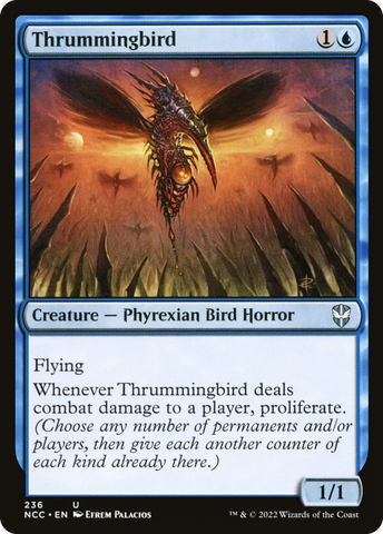 {C} Thrummingbird [Streets of New Capenna Commander][NCC 236]