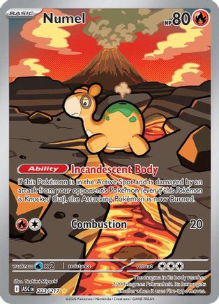 [PKM] Numel 223/217  - Holofoil ME Ascended Heroes - Illustration Rare