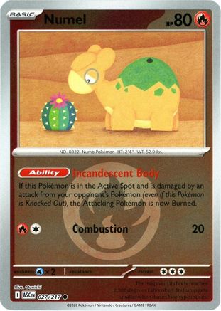 [PKM] Numel - 027/217 (Energy Symbol Pattern) [ME: Ascended Heroes] Reverse Holofoil