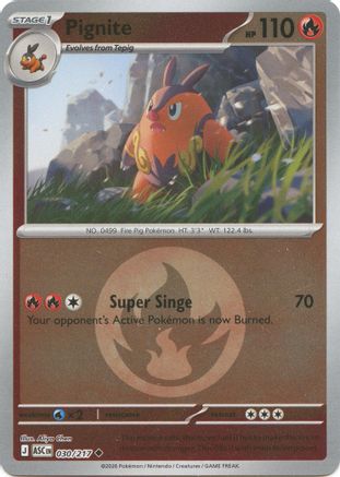 [PKM] Pignite (Energy Symbol Pattern) 030  - Reverse Holofoil ME Ascended Heroes - Uncommon