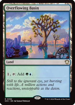Overflowing Basin [SOC 392]