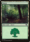 {B}[C15 340] Forest (340) [Commander 2015]