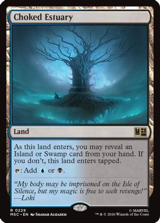 Choked Estuary [MSC 229]