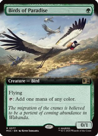 Birds of Paradise (Extended Art) [MSC 377]