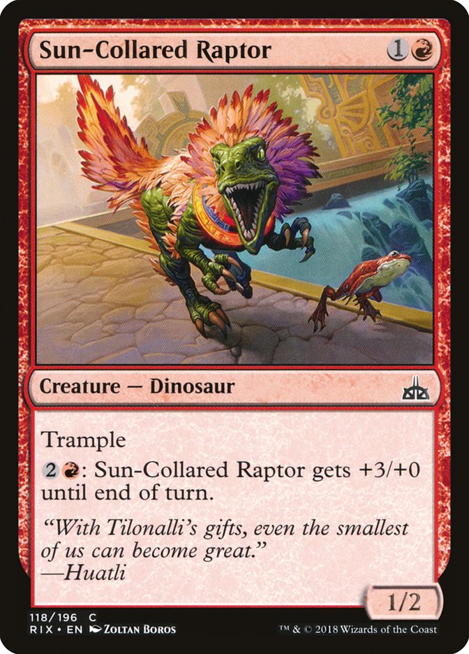 {C} Sun-Collared Raptor [Rivals of Ixalan][RIX 118]