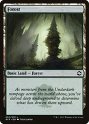 {B}[AFR 280] Forest (280) [Dungeons & Dragons: Adventures in the Forgotten Realms]
