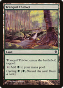 {C} Tranquil Thicket [Commander 2013][C13 329]