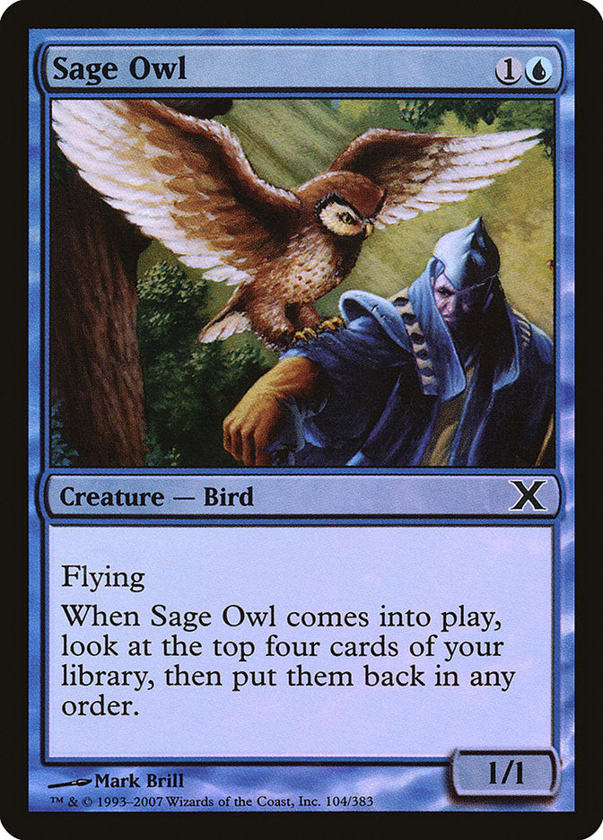 {C} Sage Owl (Premium Foil) [Tenth Edition][FP 10E 104]