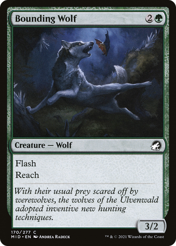 {C} Bounding Wolf [Innistrad: Midnight Hunt][MID 170]