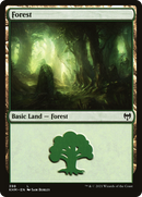 {B}[KHM 398] Forest (398) [Kaldheim]
