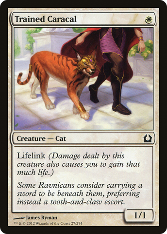 {C} Trained Caracal [Return to Ravnica][RTR 027]