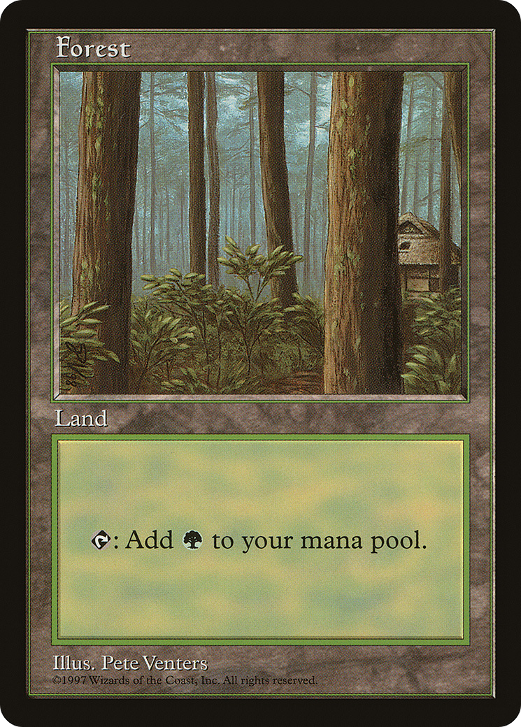{B}[PA PALP 001] Forest (1) [Asia Pacific Land Program]