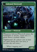 {C} Infestation Expert // Infested Werewolf [Innistrad: Crimson Vow][VOW 206]