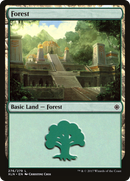 {B}[XLN 276] Forest (276) [Ixalan]