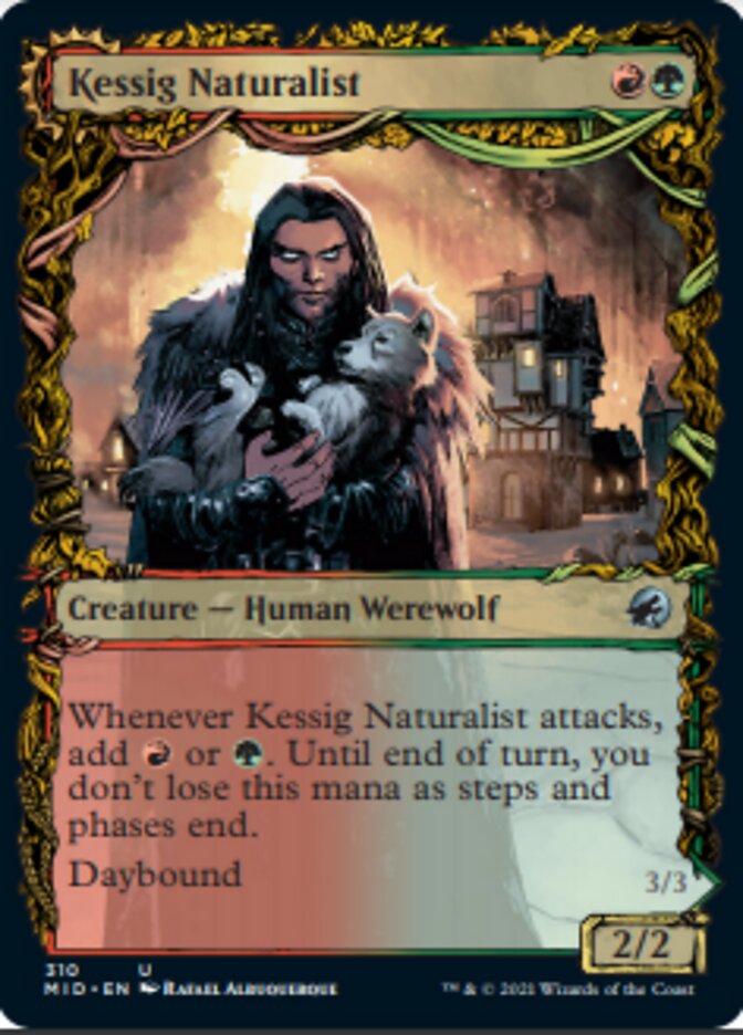 {C} Kessig Naturalist // Lord of the Ulvenwald (Showcase Equinox) [Innistrad: Midnight Hunt][MID 310]