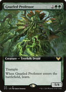 {R} Gnarled Professor (Extended Art) [Strixhaven: School of Mages][STX 319]