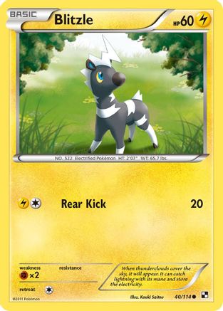 [PKM] Blitzle (40/114) [Black & White: Base Set]