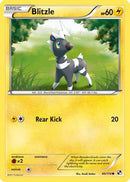 [PKM-C] Blitzle (40/114) [Black & White: Base Set]