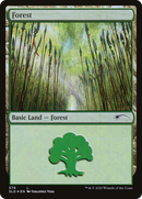 {B}[SLD 579] Forest (Elves) (579) [Secret Lair Drop Promos]