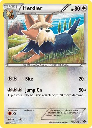 [PKM] Herdier (109/146) [XY: Base Set]
