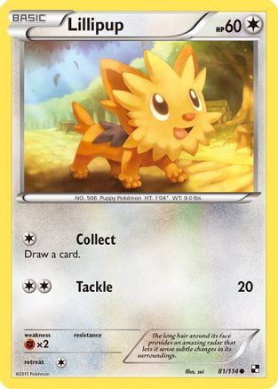 [PKM-C] Lillipup (81/114) [Black & White: Base Set]