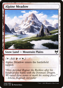 {C} Alpine Meadow [Kaldheim][KHM 248]