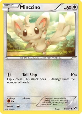 [PKM] Minccino (88/114) [Black & White: Base Set]