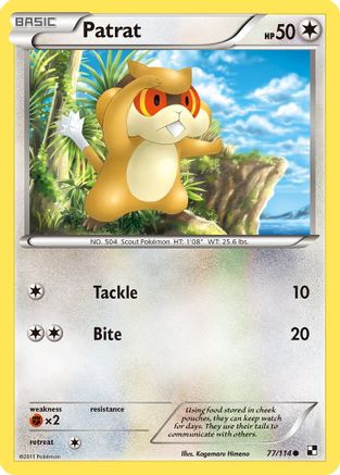 [PKM] Patrat (77/114) [Black & White: Base Set]