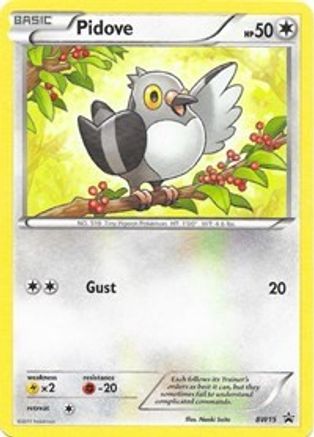 [PKM] Pidove (BW15) [Black & White: Black Star Promos]
