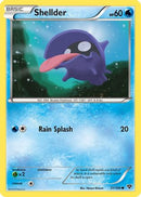 [PKM-C] Shellder (31/146) [XY: Base Set]