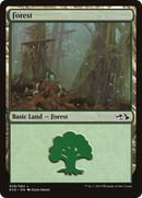 {B}[EVG 028] Forest (28) (Elves vs. Goblins) [Duel Decks Anthology]