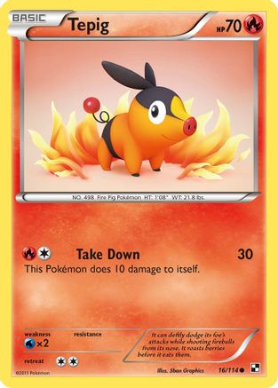 [PKM] Tepig (16/114) [Black & White: Base Set]
