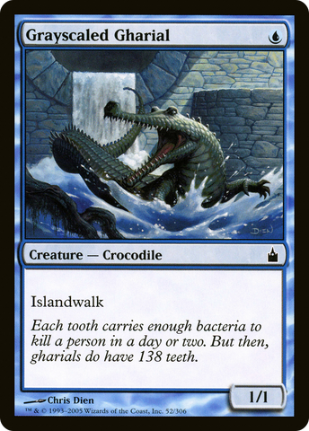 {C} Grayscaled Gharial [Ravnica: City of Guilds][RAV 052]