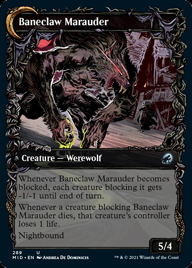 {C} Baneblade Scoundrel // Baneclaw Marauder (Showcase Equinox) [Innistrad: Midnight Hunt][MID 289]