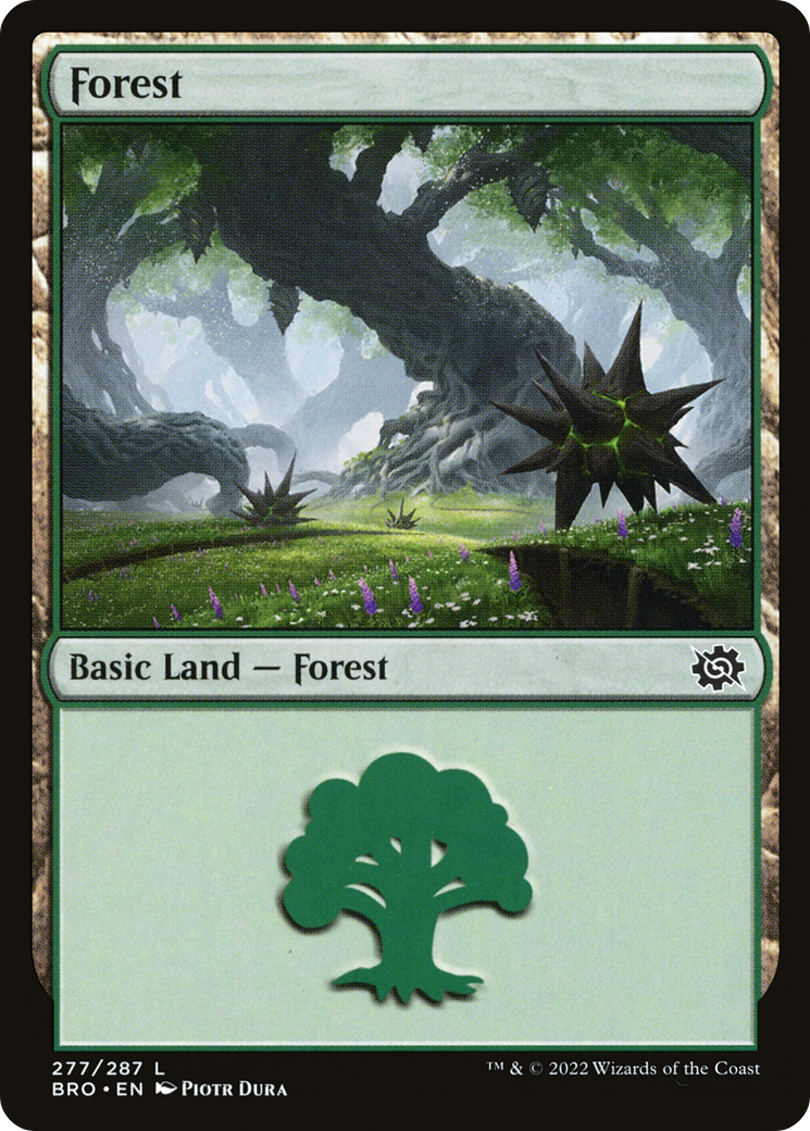 {B}[BRO 277] Forest (277) [The Brothers' War]