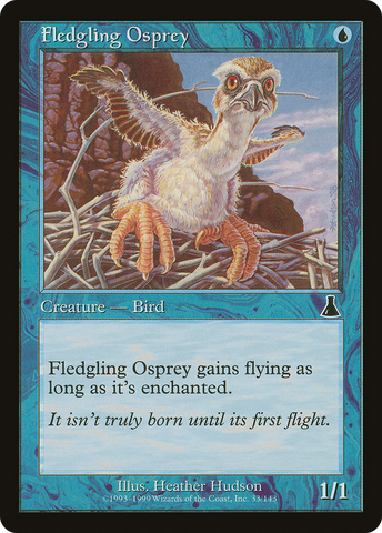 {C} Fledgling Osprey [Urza's Destiny][UDS 033]