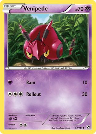 [PKM] Venipede (52/114) [Black & White: Base Set]