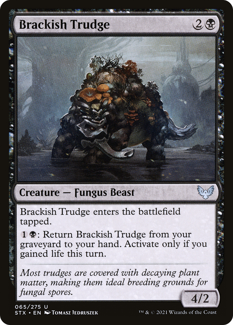 {C} Brackish Trudge [Strixhaven: School of Mages][STX 065]