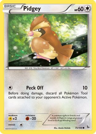 [PKM] Pidgey (75/106) [XY: Flashfire]