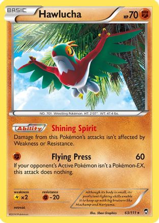 [PKM] Hawlucha (63/111) [XY: Furious Fists]