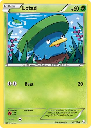 [PKM] Lotad (10/160) [XY: Primal Clash]