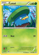 [PKM-C] Lotad (10/160) [XY: Primal Clash]