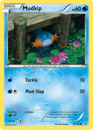 [PKM] Mudkip (33/160) [XY: Primal Clash]