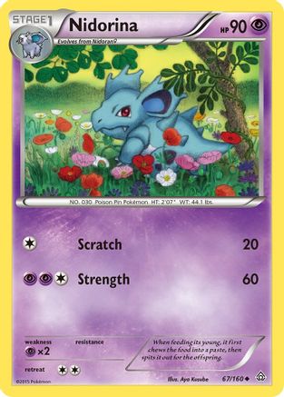 [PKM] Nidorina (67/160) [XY: Primal Clash]